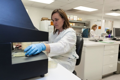 female worker in a lab coat and rubber gloves, seated at a small machine and working with petri dishes